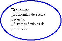 Elipse: Economía:  _Economías de escala pequeña.  _Sistemas flexibles de producción.  